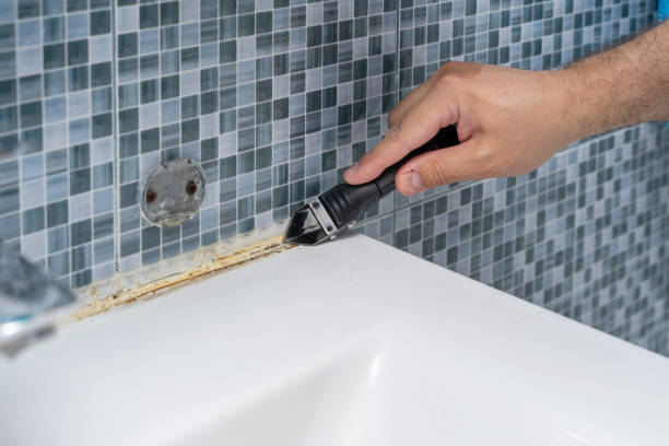 Best Fast Mold Removal  in Glastonbury Center, CT