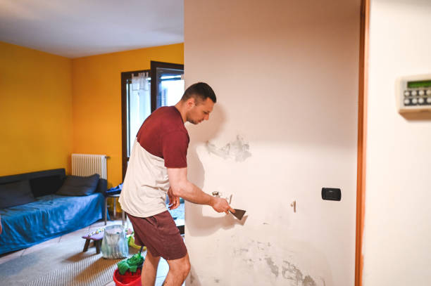 Best Black Mold Removal  in Glastonbury Center, CT