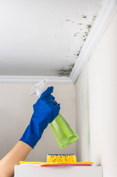Best Mold Testing  in Glastonbury Center, CT
